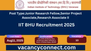 IIT BHU Recruitment 2025 