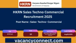 HKRN Sales Techno Commercial Recruitment 2025.