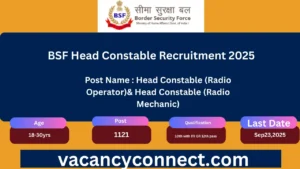 BSF Head Constable Recruitment 2025