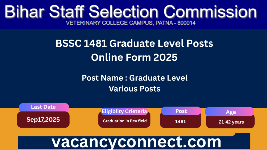 BSSC Graduate Level Posts Recruitment 2025