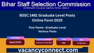 BSSC Graduate Level Posts Recruitment 2025