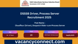 DSSSB Driver, Process Server Recruitment 2025